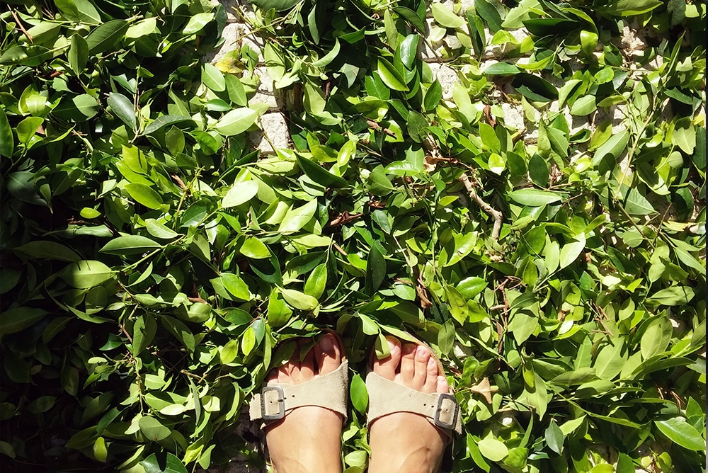 photo of feet standing on leaves