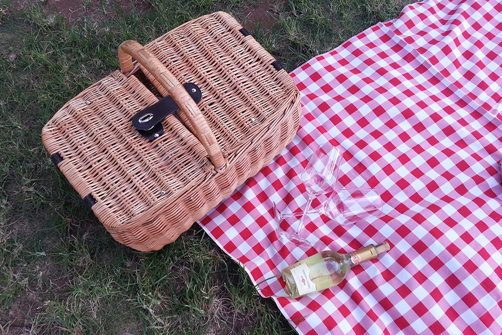 photo of a picnic 