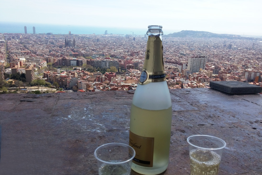 bottle of champaine and the view of barcelona